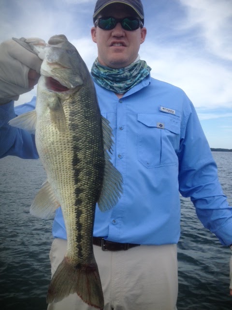 Lake hartwell fishing report best sale